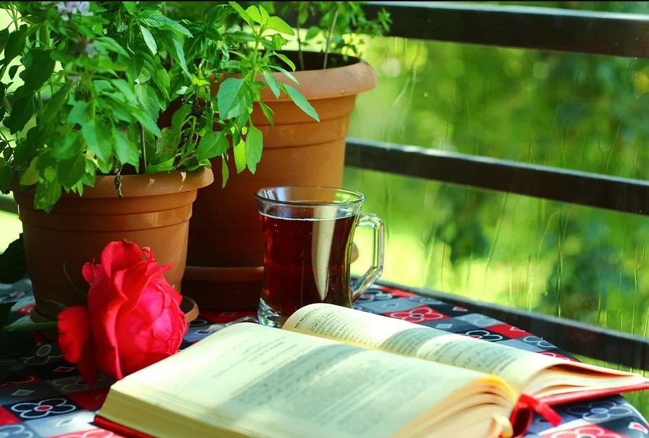 Чай и книга