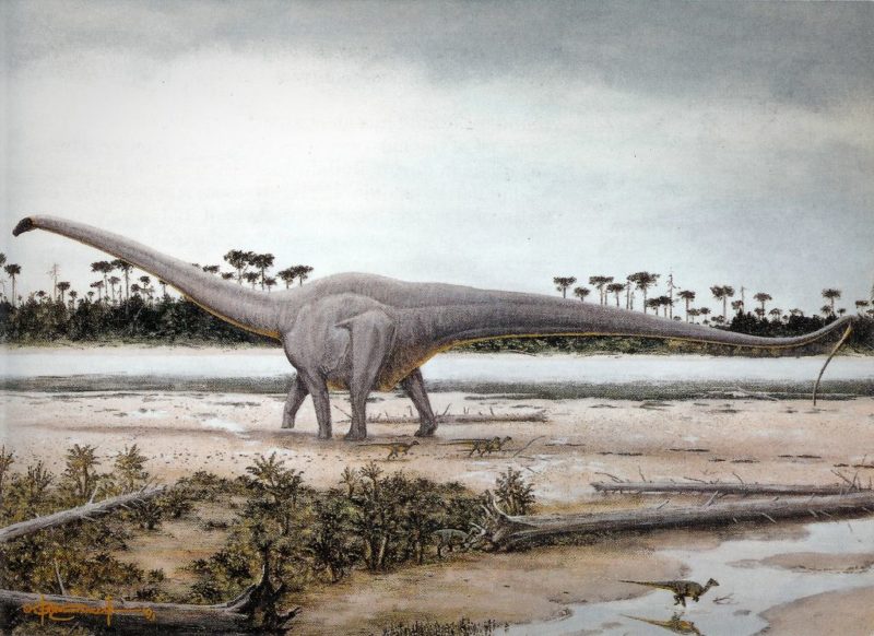 Сейсмозавр (Seismosaurus halli)